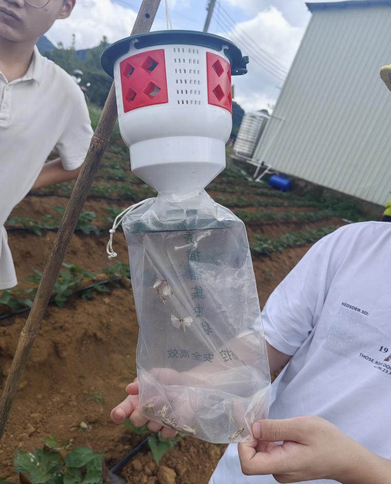 f5acc1311793645c6ea4bb1f8bfe83d