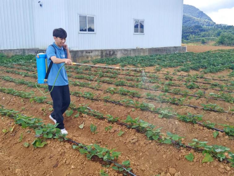 4d59354ed2d21d6e66c82cc6a773d6d